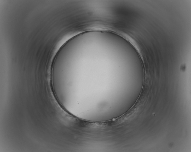 X0000091061195200708201338