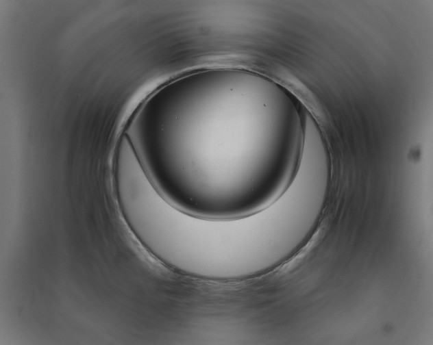 X0000091061196200708201338