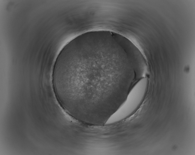 X0000091061197200708201338