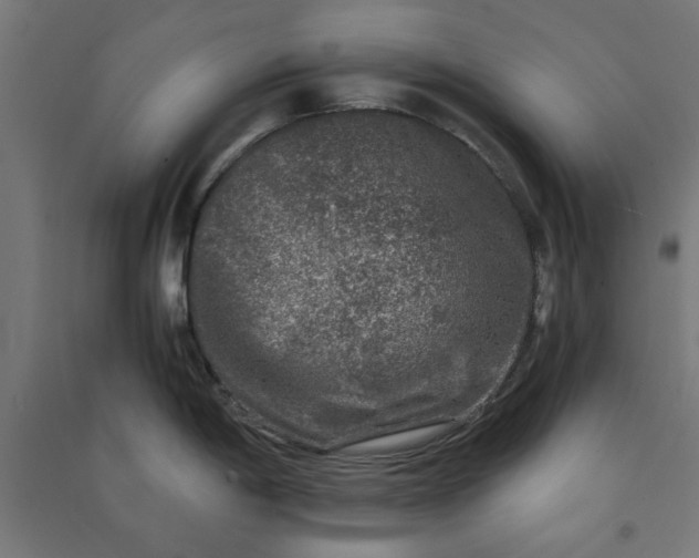 X0000091061198200708201338