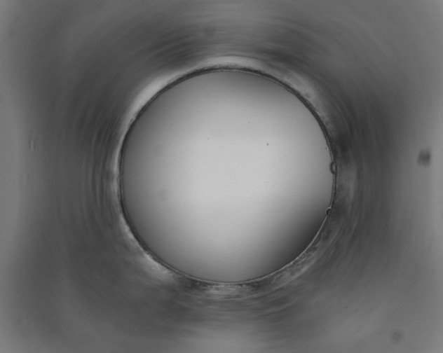 X0000091061199200708201338