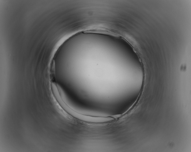 X0000091061200200708201338