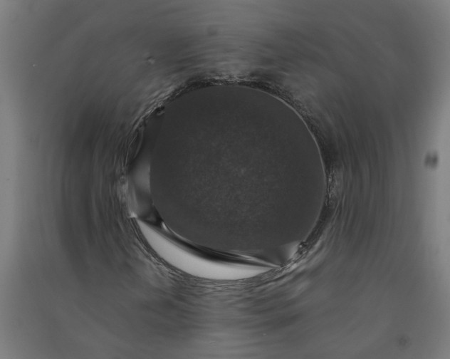 X0000091061202200708201337