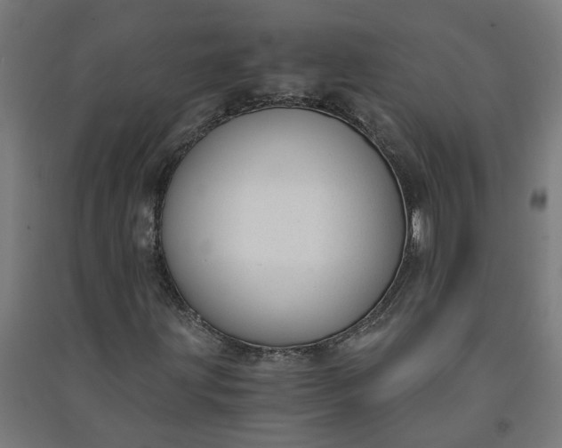 X0000091061203200708201337