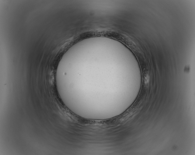 X0000091061204200708201337