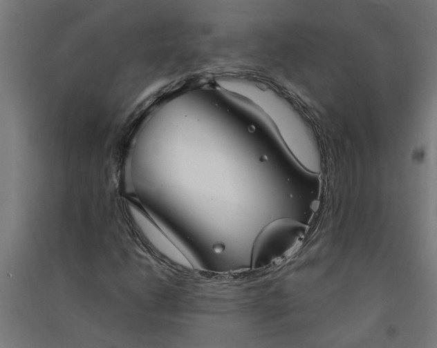 X0000091061206200708201337