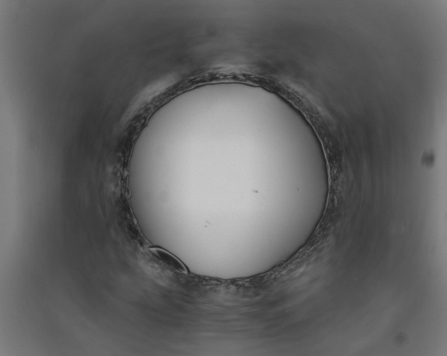 X0000091061207200708201337