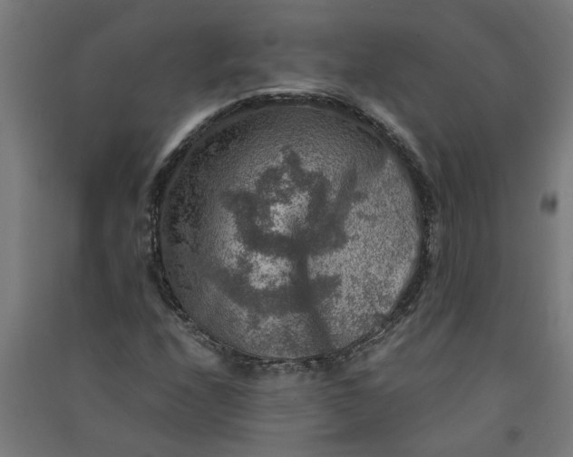 X0000091061208200708201337