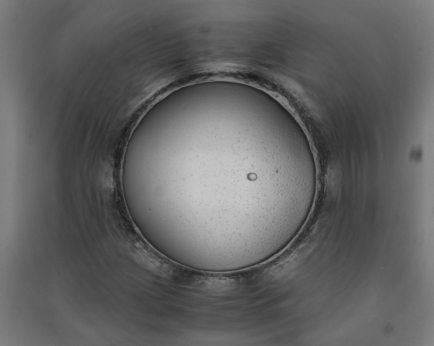 X0000091061209200708201337
