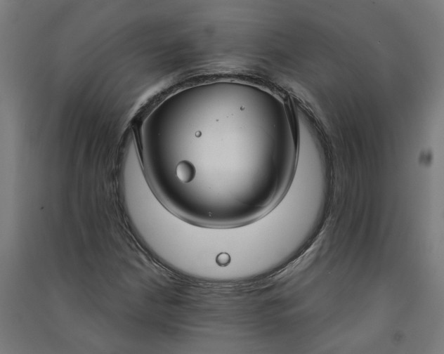X0000091061210200708201337