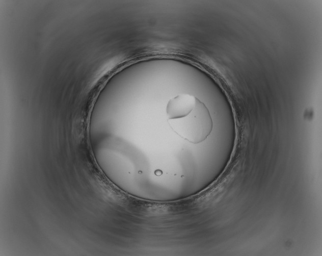 X0000091061211200708201337