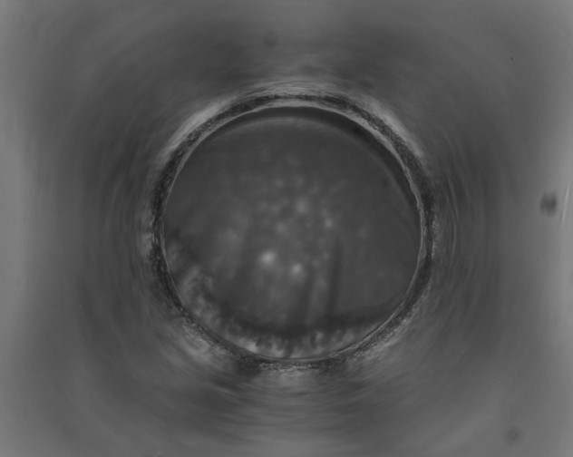 X0000091061213200708201337