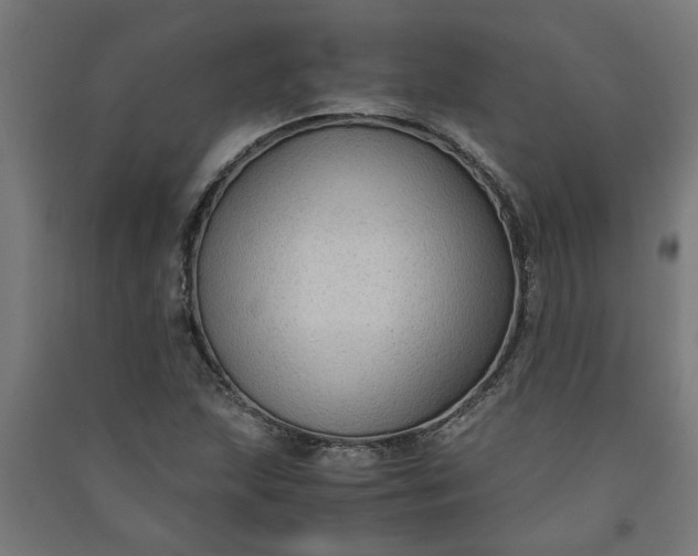 X0000091061215200708201337