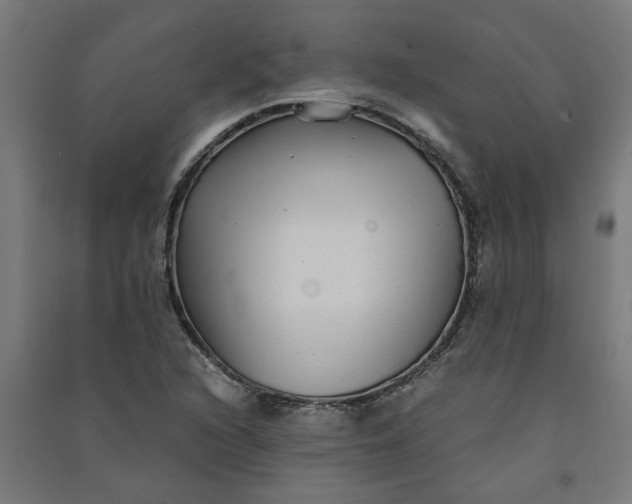 X0000091061216200708201337