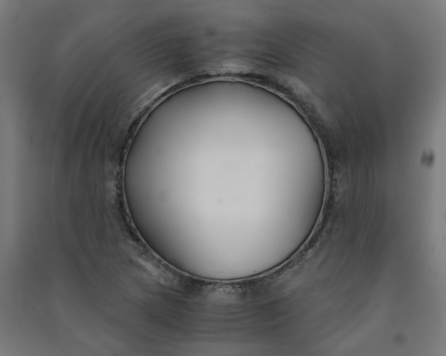 X0000091061217200708201337