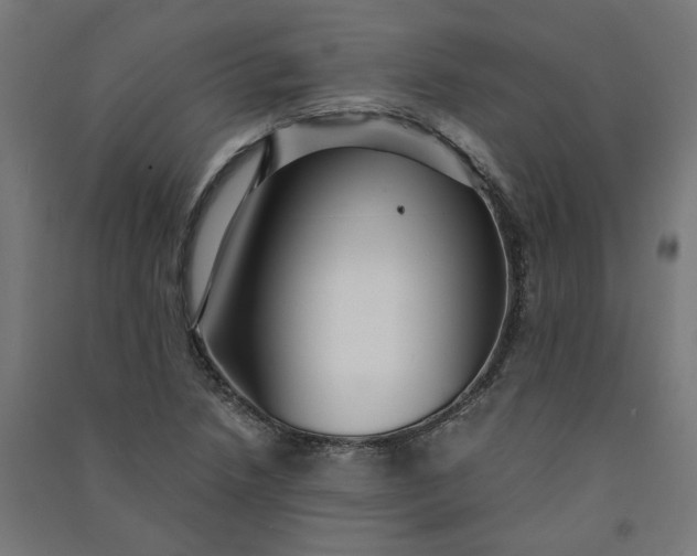 X0000091061218200708201337