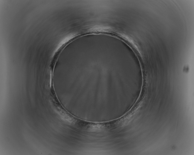 X0000091061219200708201337