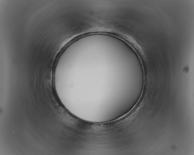 X0000091061220200708201337