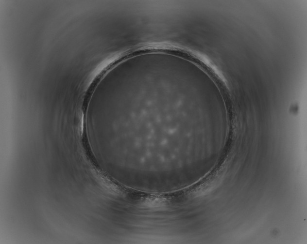 X0000091061221200708201337