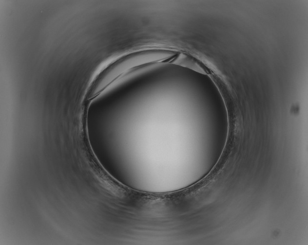 X0000091061222200708201337
