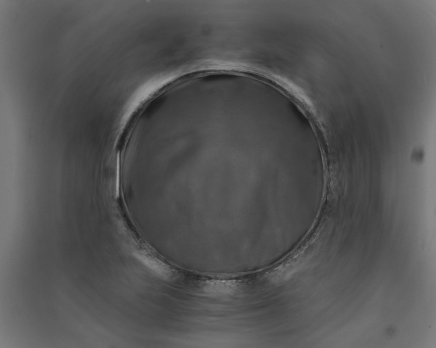 X0000091061223200708201337