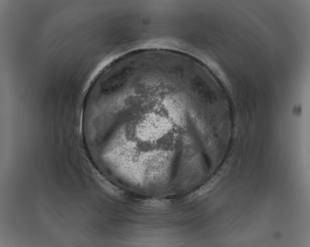 X0000091061224200708201337