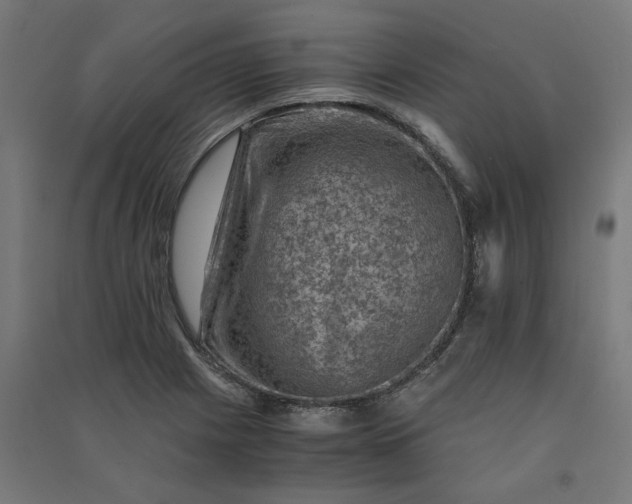 X0000091061225200708201337