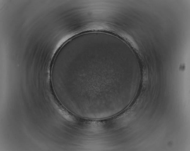 X0000091061226200708201337