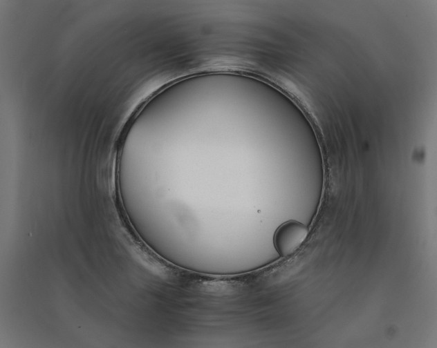 X0000091061227200708201337
