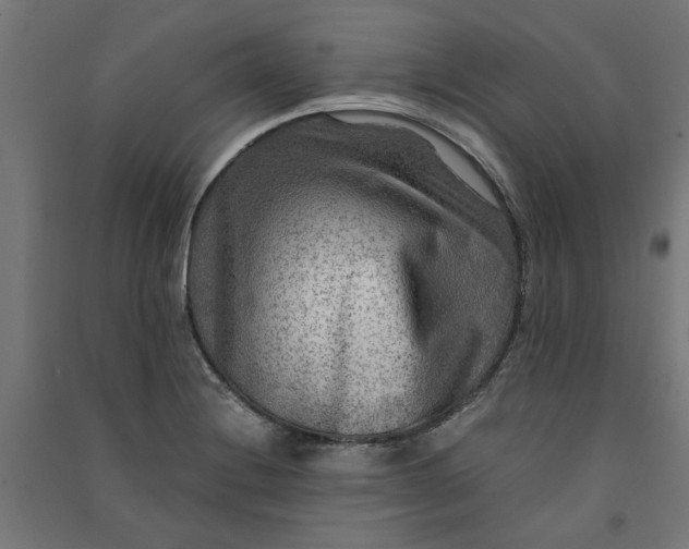X0000091061228200708201337