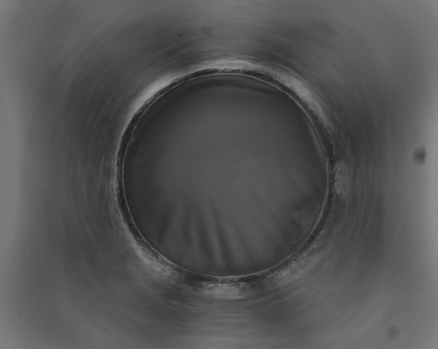 X0000091061229200708201337