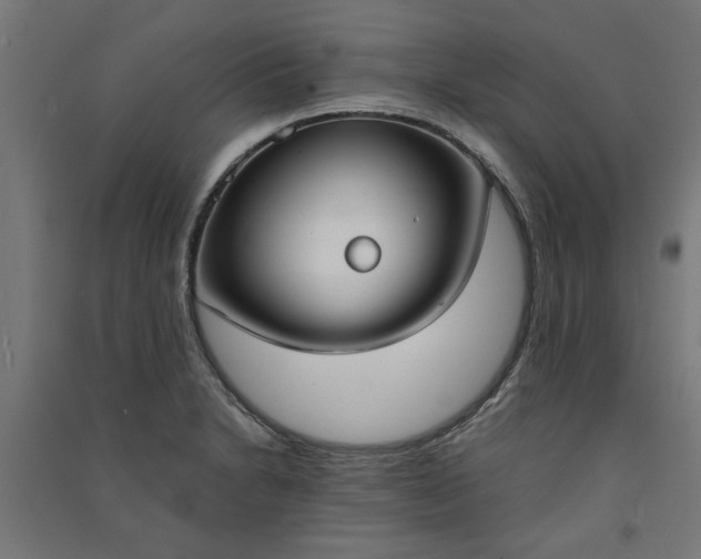 X0000091061230200708201337