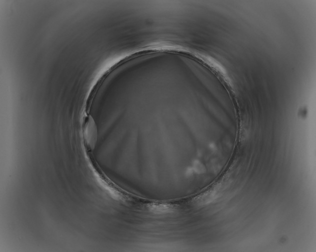 X0000091061231200708201337