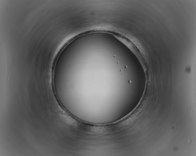 X0000091061232200708201337