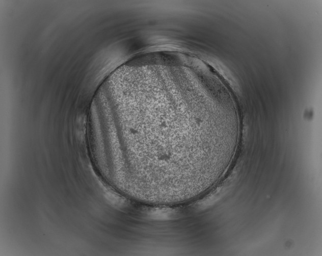 X0000091061233200708201337