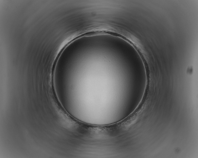 X0000091061234200708201337