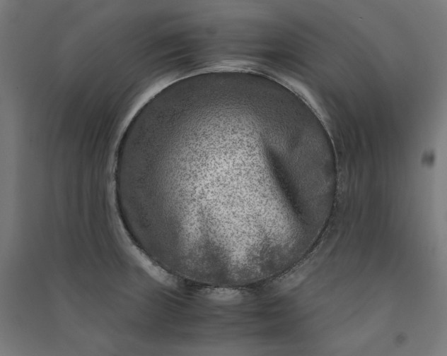 X0000091061235200708201338
