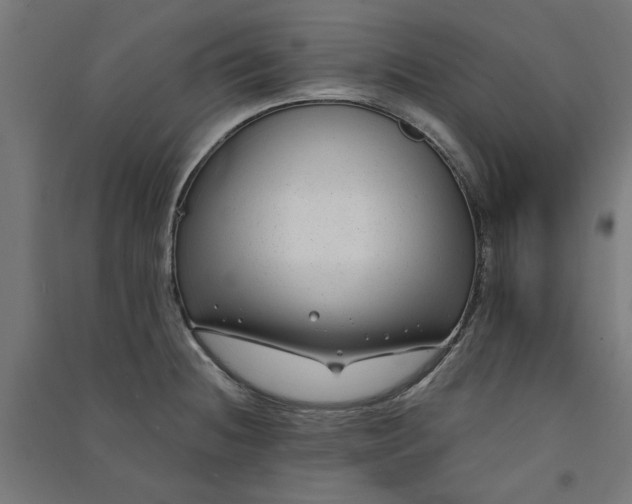 X0000091061236200708201338