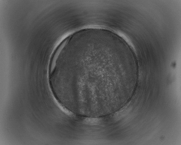 X0000091061237200708201338