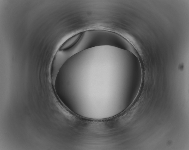 X0000091061238200708201338