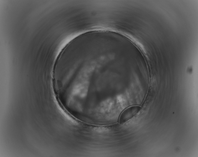 X0000091061239200708201338