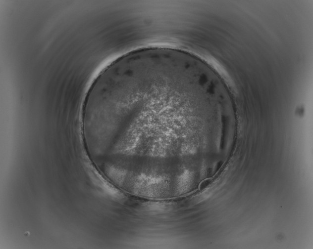 X0000091061240200708201338