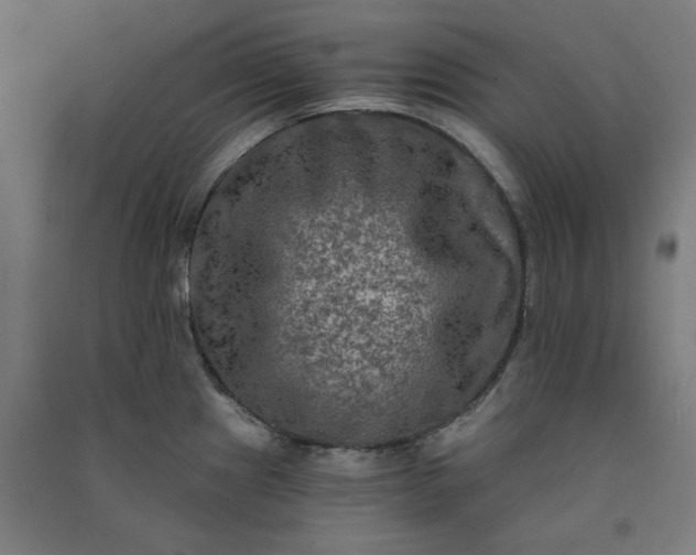 X0000091061241200708201338
