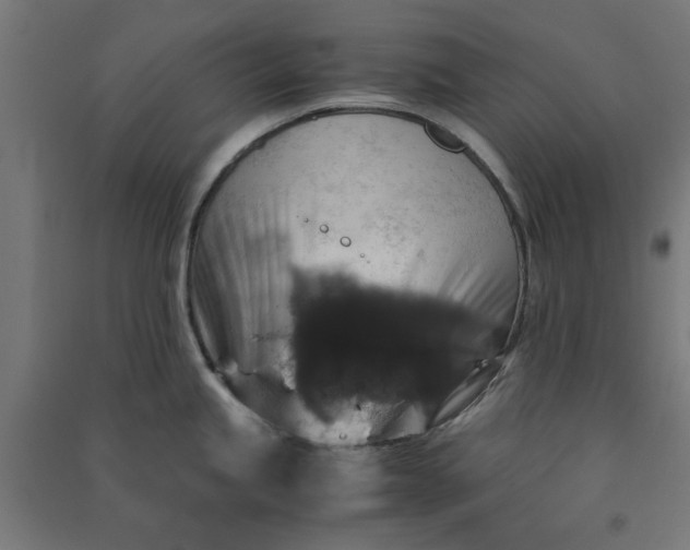 X0000091061245200708201338