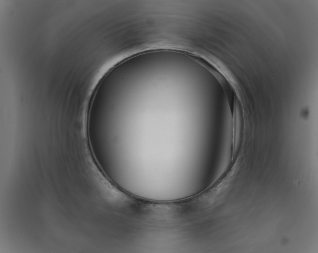 X0000091061246200708201338