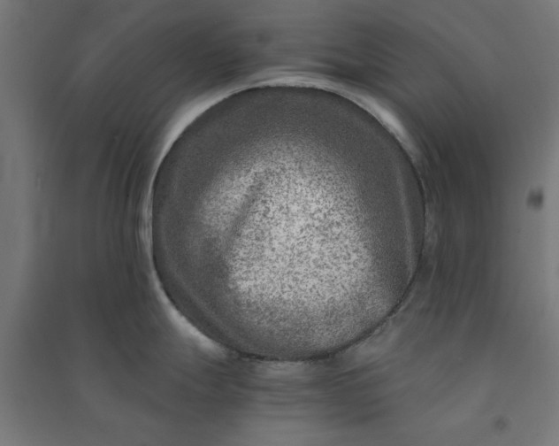 X0000091061247200708201338