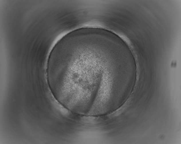 X0000091061248200708201338
