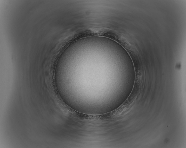 X0000091061249200708201337