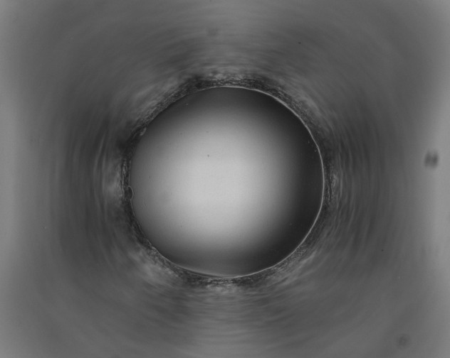X0000091061250200708201337