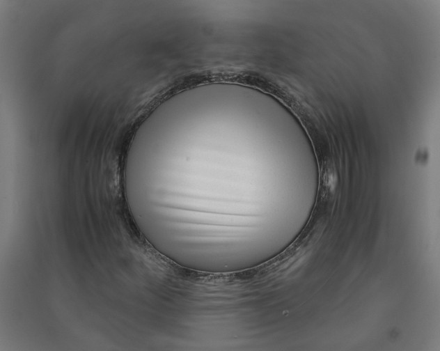 X0000091061252200708201337